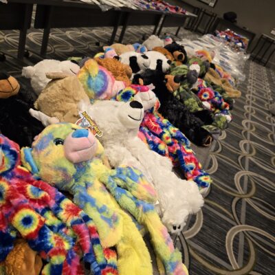 A row of colorful, tie-dye, and classic teddy bears lined up on a patterned carpet as part of the Team Teddy Rescue Bear event. The bears are ready to be dressed and completed as part of a charitable team building program.