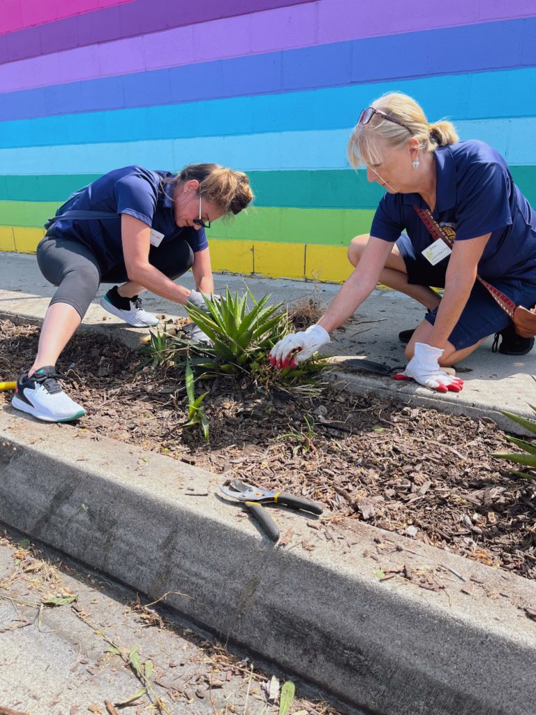 Two women are taking part in a CSR Team Building program. They are crouched on the ground, gardening and pulling weeds along a sidewalk. They are both wearing blue shirts and white gloves while working in a flowerbed. Behind them is a colorful wall painted in bright horizontal stripes of blue, purple, yellow, green, and more, adding a vibrant backdrop to their activity.