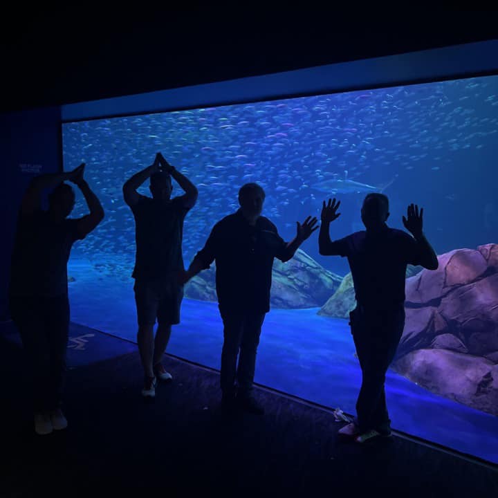 Team members posing playfully in front of an aquarium, mimicking sea life during a Mystery Bus team building adventure, enjoying a surprise destination.