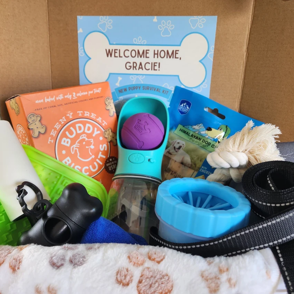 Foster Pet Care Kit featuring treats, a water bottle, leash, toy, and a sign that reads 'Welcome Home, Gracie!' as part of a corporate charitable team building event called 'the Donation Station'